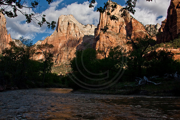 Virgin River in early morning, Zion Canyon