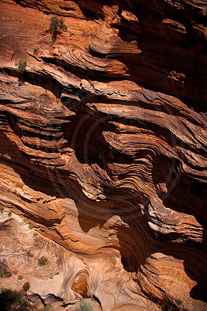 Pool at the bottom of a deep gully, Hidden Canyon, Zion National Park