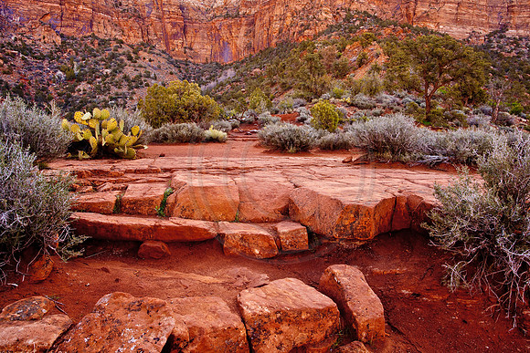 Watchman Lookout, Zion Canyon, Zion National Park