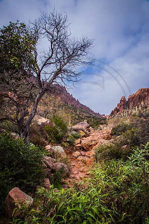 Lower Peralta Canyon Trail, Superstition Wilderness Area, Tonto National Forest, Arizona