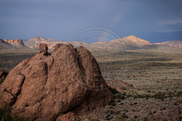 Desert Rainbow, Tonto National Forest, Arizona