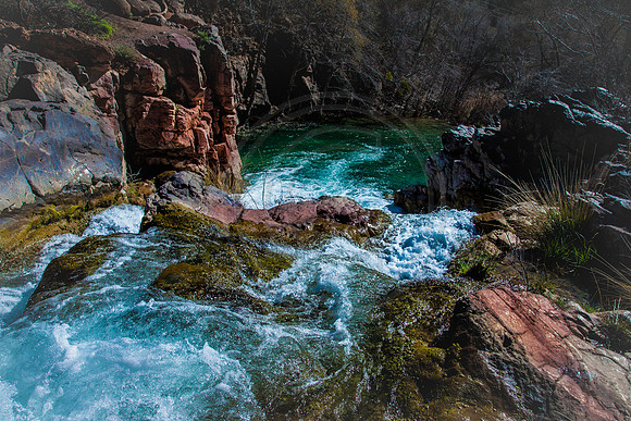 "Formative Waters" (Fossil Creek, Coconino National Forest, Arizona)