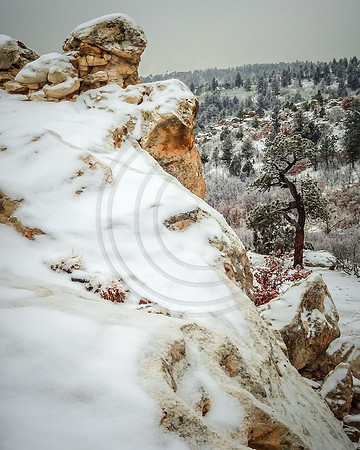 "Winter Ascent" (Ute Valley, Colorado Springs)