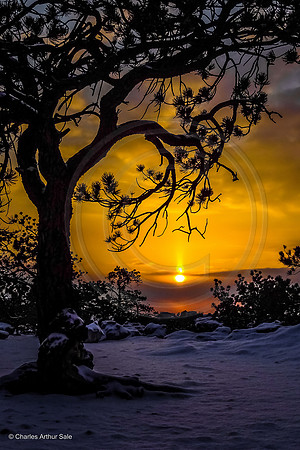 "Sunrise" (Ute Valley, Colorado Springs)