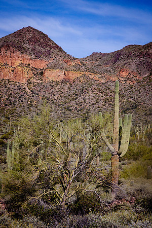"Ragged Lady" (Pass Mountain, Tonto National Forest, Arizona)