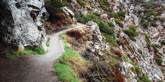 Up the canyon, Mount Wilson Trail, Sierra Madre