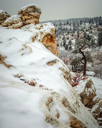 "Ute Valley Park" "Ute Valley" Colorado "Colorado Springs" "Friends of Ute Valley Park" Ute