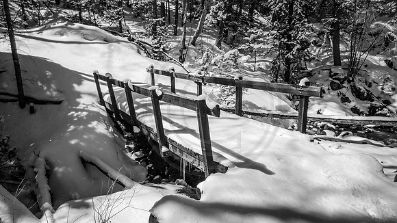 Footbridge over creek along Venable Creek trail, Sangre de Cristo Mountains. Colorado