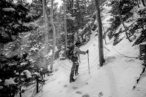 Snowshoer in winter storm along Venable Creek Trail, Sangre de Cristo Mountains, Colorado