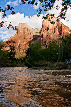 Virgin River mid-morning, Zion Canyon