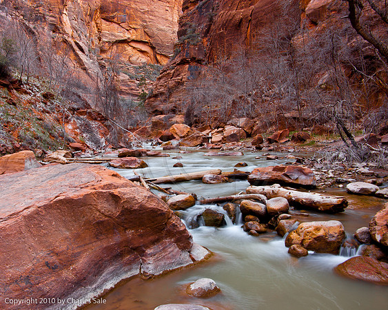 The Narrows, Virgin River, Zion National Park