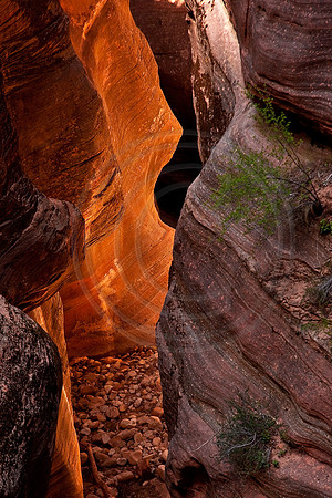 Channel in sandstone, Echo Canyon, Zion National Park