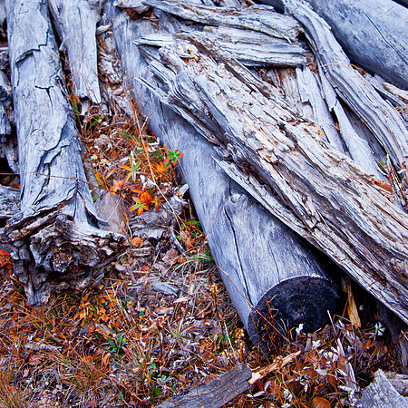 CO, "Devils Playground", "Pike National Forest", "Pikes Peak", "The Crags", USA