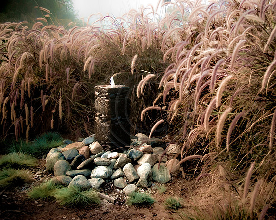 Water fountain surrounded by willows, San Gabriel Valley