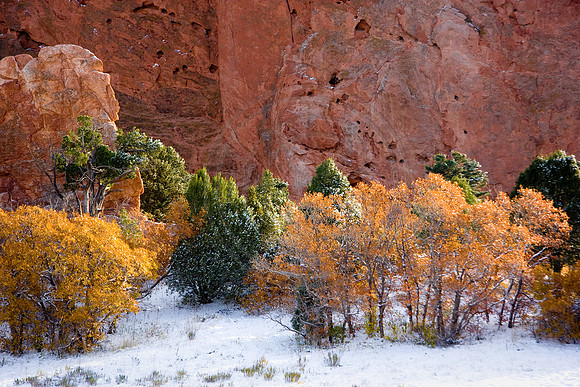 Fall foliage under sandstone wall in Garden of the Gods