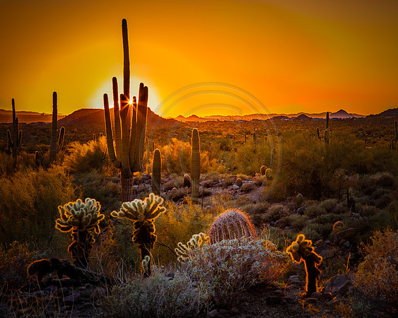 "Last Light"