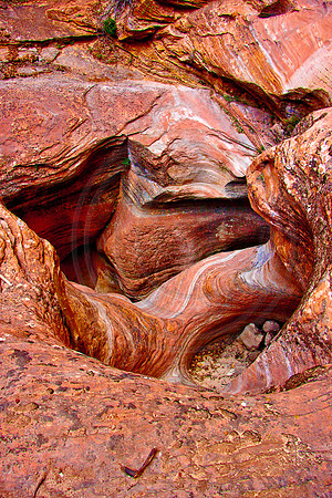 Sandstone crevasse, Echo Canyon, Zion National Park