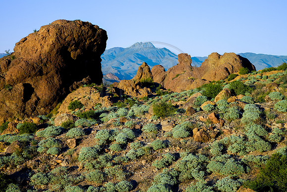 Prospector View/Treasure Loop Trail Junction, Superstition Mountain, Tonto National Forest, Arizona