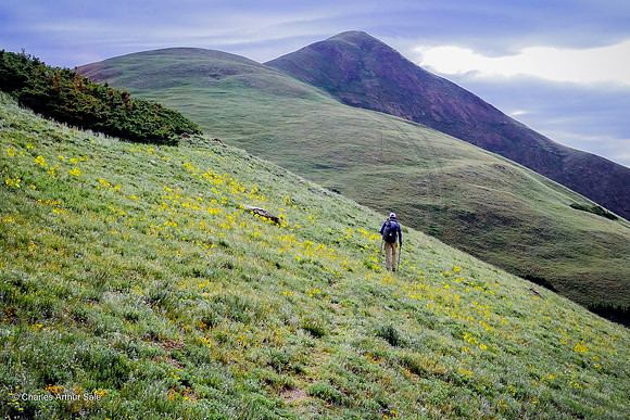 Herman/Watrous Gulch Loop, Arapaho NF, Colorado