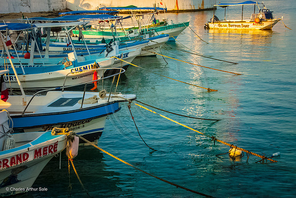 Tourist boats in early morning, harbor of San Miguel de Cozumel, Quintana Roo