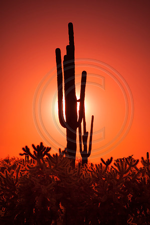 Setting sun from Usery Mountain Regional Park, Maricopa County, Arizona