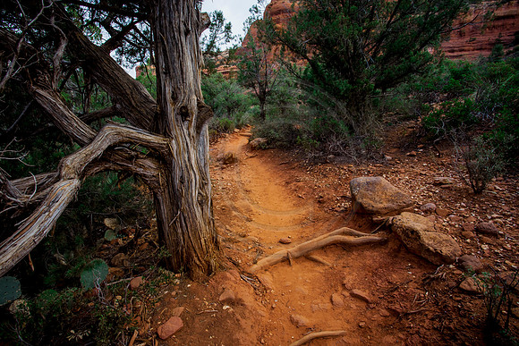 Boynton Canyon Trail, Red Rock Secret Mountain Wilderness, Coconino National Forest, Arizona