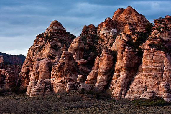 Collected monoliths in late afternoon, Kolob Terrace, Zion National Park
