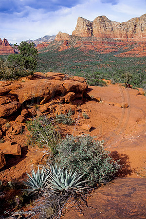 Yavapai Point, Red Rock District, Coconino National Forest, Arizona