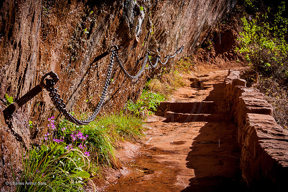 Trail to Emerald Pools, Zion Canyon, Zion National Park