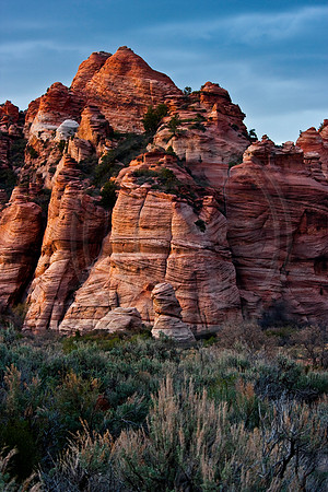 Sagebrush and cliffs, Kolob Terrace, Zion National Park