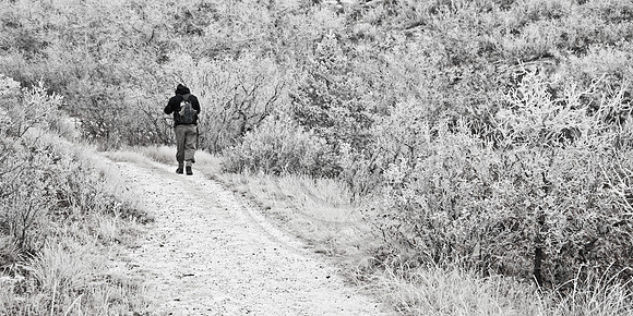 Lone hiker on Graves Trail on frosty morning, Colorado Springs
