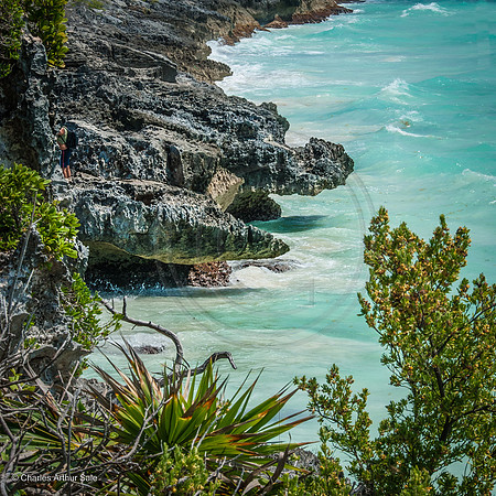 Lava-rock coast line of Caribbean Sea through trees north of Maya ruins at Tulum