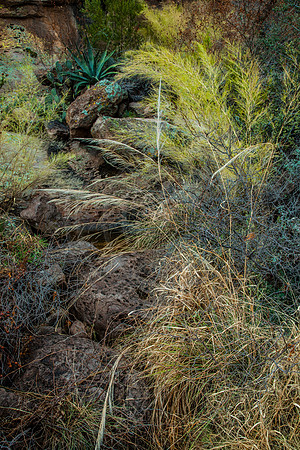 Descending Rocks, Peralta Canyon Trail, Superstition Wilderness Area, Tonto National Forest, Arizona