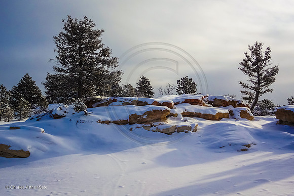 "Winter Shadows II" (Ute Valley, Colorado Springs