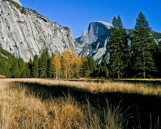 Shadow and trees under Half Dome, Yosemite National Park