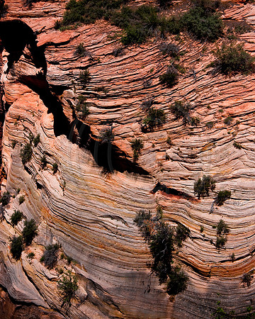Sandstone waves, Hidden Canyon, Zion National Park