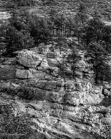 Trees on cliff, Ute Valley Park, Colorado Springs, CO
