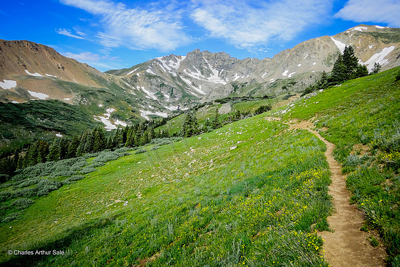 Herman/Watrous Gulch Loop, Arapaho NF, Colorado