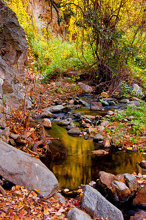 Still-water reflections, Monrovia Canyona