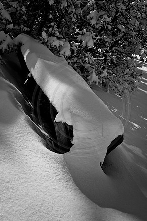 Log in snow drift, Dawson Butte, Colorado