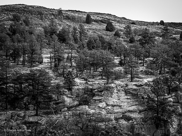 Whaleback Ridge in winter, Ute Valley Park, Colorado Springs, CO