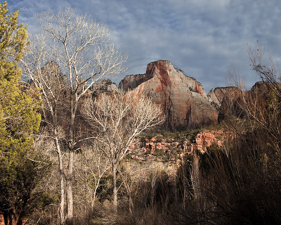 The West Temple, Zion Canyon, Zion National Park