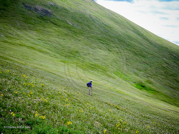 Herman/Watrous Gulch Loop, Arapaho NF, Colorado