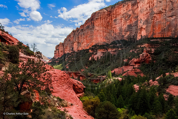View east from headwall, Boynton Canyon, Red Rock Secret Mountain Wilderness, Coconino National Forest, Arizona