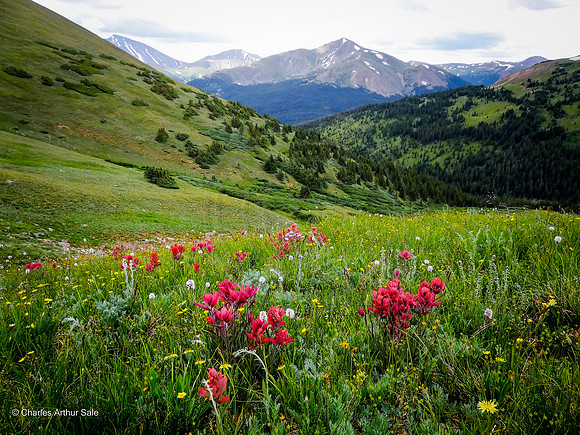 Herman/Watrous Gulch Loop, Arapaho NF, Colorado