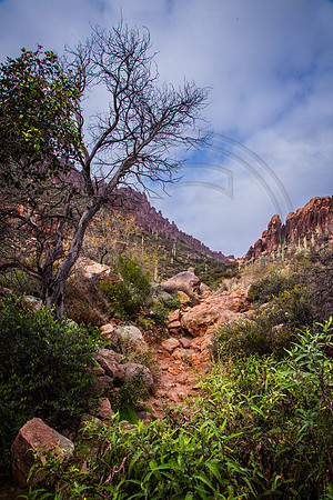 "Oasis Notch" (Lower Peralta Canyon Trail, Superstition Wilderness Area, Tonto National Forest, Arizona)