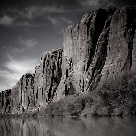 Rock wall and Coyote Willow bordering the Colorado River, Moab, Utah