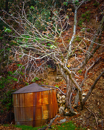 Water tank and tree, Monrovia Canyon
