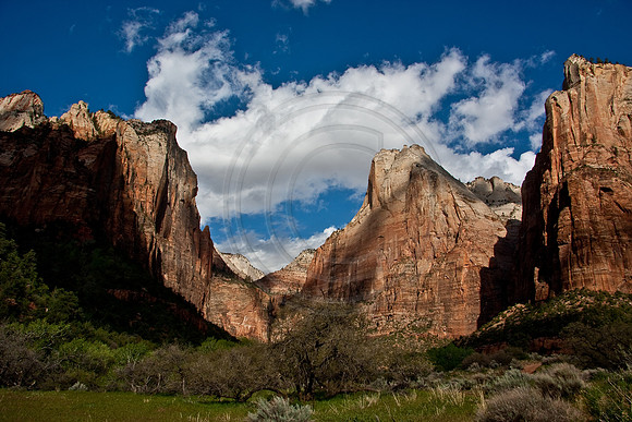 Canyon on the west side of Zion Canyon